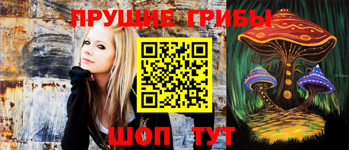 Псилоцибиновые грибы ЛСД  Псилоцибиновые грибы GOLDEN TEACHER  Вход с VPN  Асино 