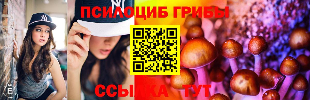 купить наркоту  Асино  Псилоцибиновые грибы Magic Shrooms 