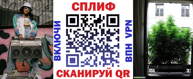 Бошки Шишки сатива Асино
